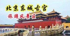 www.xxc五月天3d中国北京-东城古宫旅游风景区